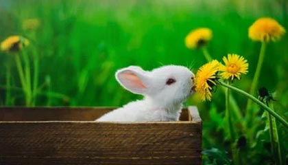 开云体育登录网站入口-星际争霸2“银河争锋”线下预选赛火热开启，银河星际争霸指南