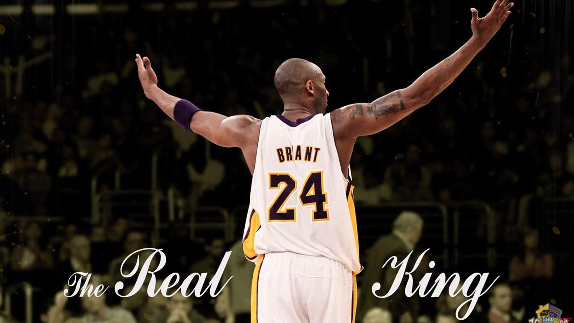 个人纪录：打破记录的超级表现瞬间，个人记录怎么写